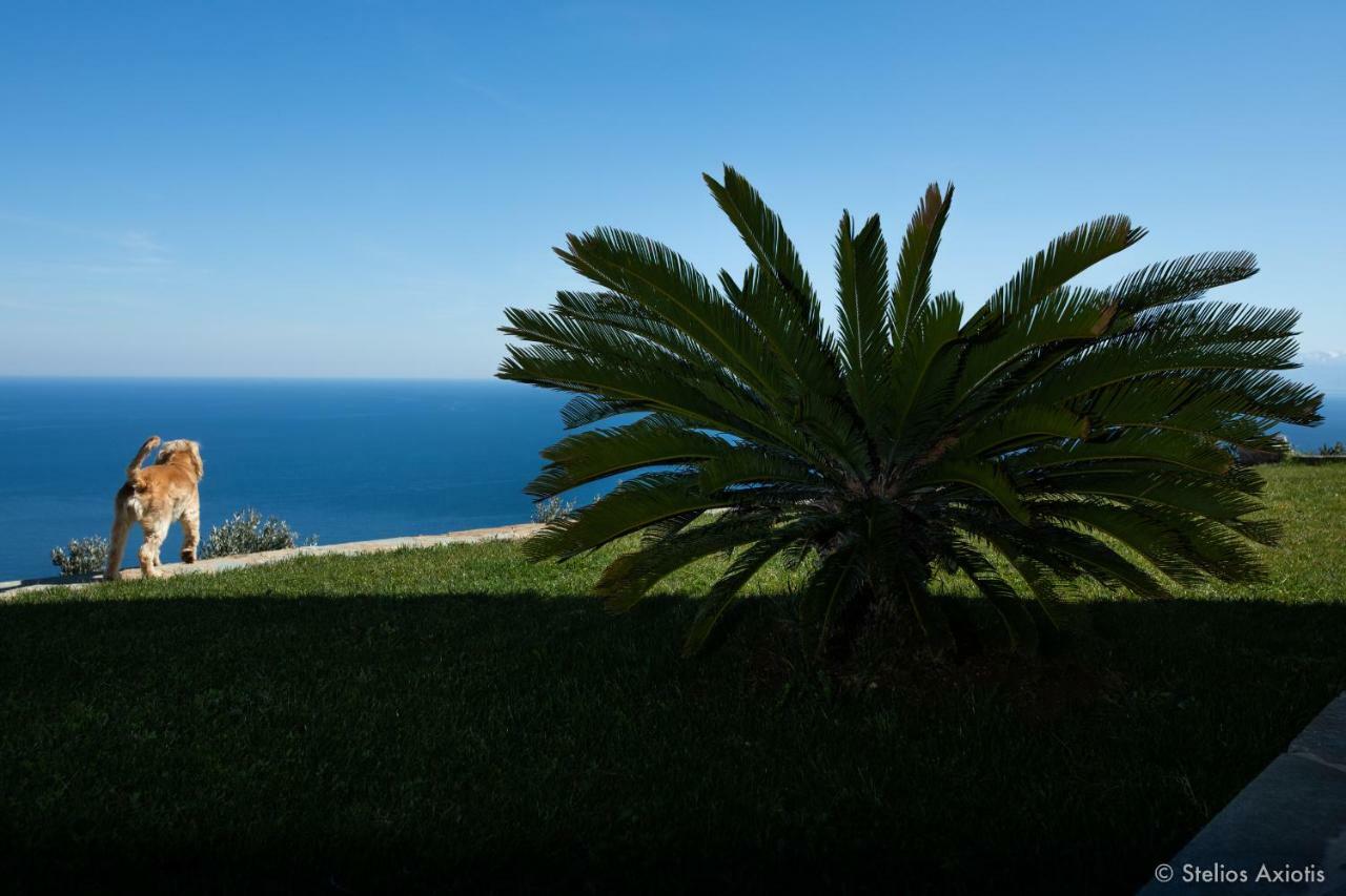 Aegean Panorama Apartments Akhladherí Eksteriør bilde